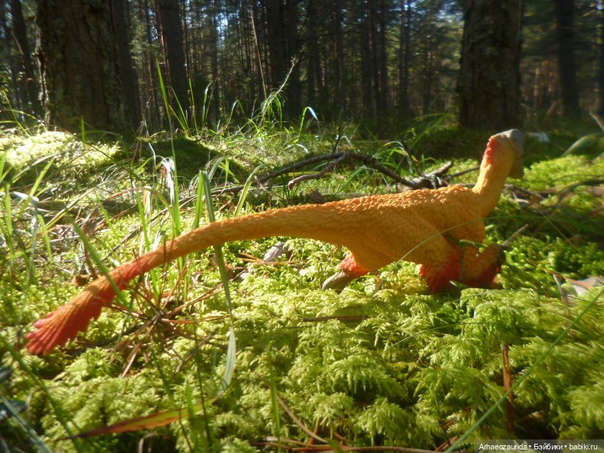 Ящеры в лесу: лес Саргиля | Бэйбики Ящеры в лесу: лес Саргиля