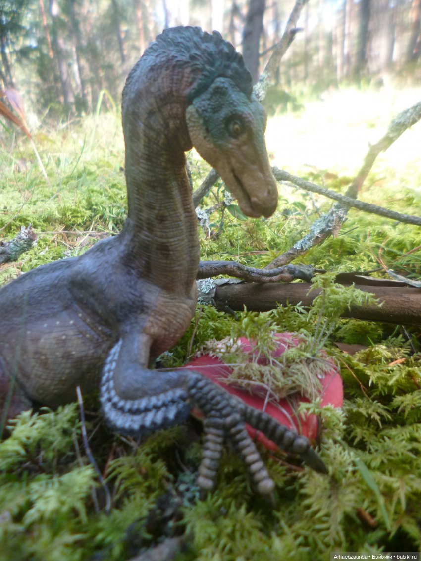 Ящеры в лесу: лес Саргиля | Бэйбики Ящеры в лесу: лес Саргиля