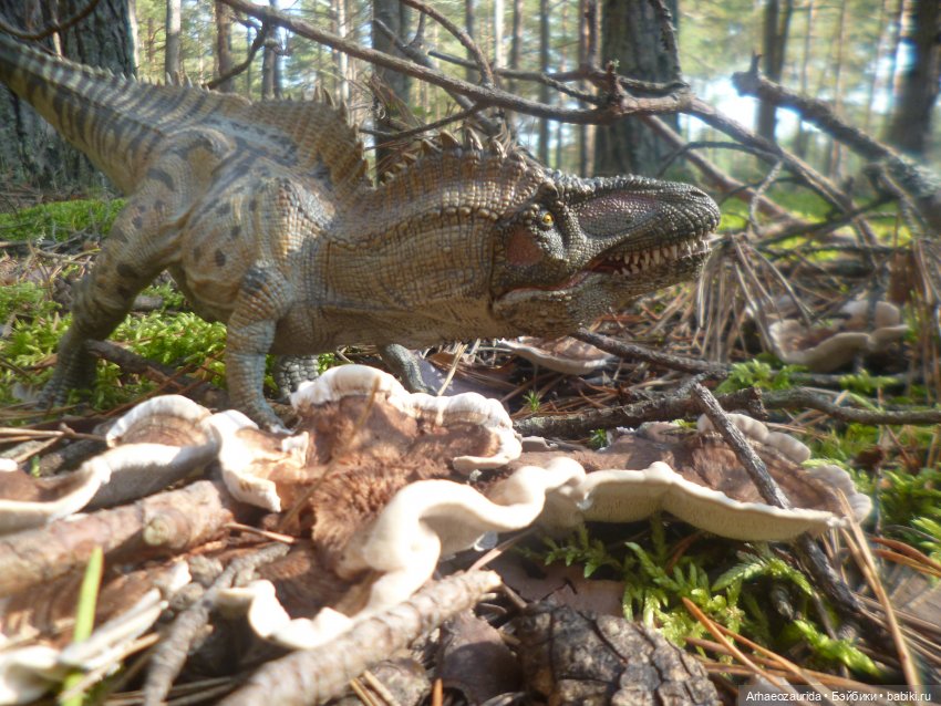 Ящеры в лесу: лес Саргиля | Бэйбики Ящеры в лесу: лес Саргиля (фото 6)
