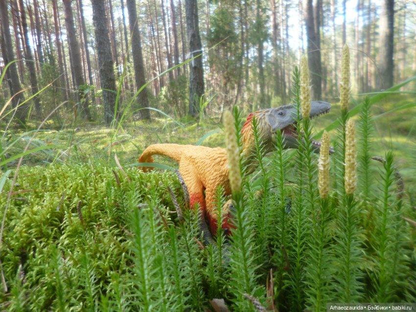 Ящеры в лесу: лес Саргиля | Бэйбики Ящеры в лесу: лес Саргиля
