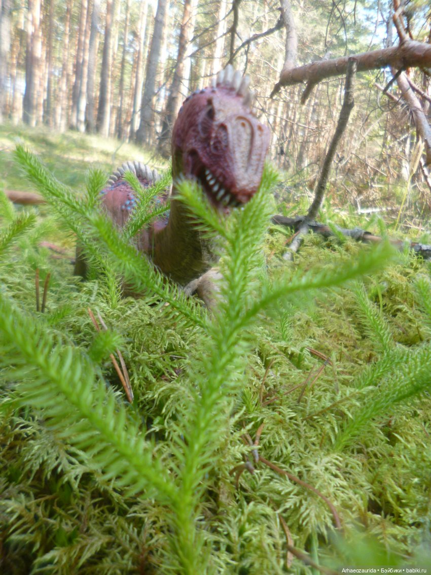 Ящеры в лесу: лес Саргиля | Бэйбики Ящеры в лесу: лес Саргиля
