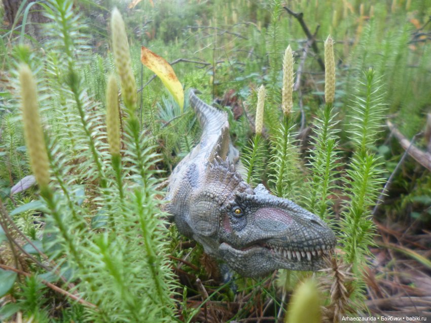 Ящеры в лесу: лес Саргиля | Бэйбики Ящеры в лесу: лес Саргиля