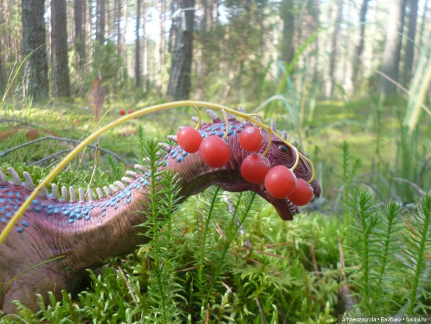 Ящеры в лесу: лес Саргиля | Бэйбики Ящеры в лесу: лес Саргиля