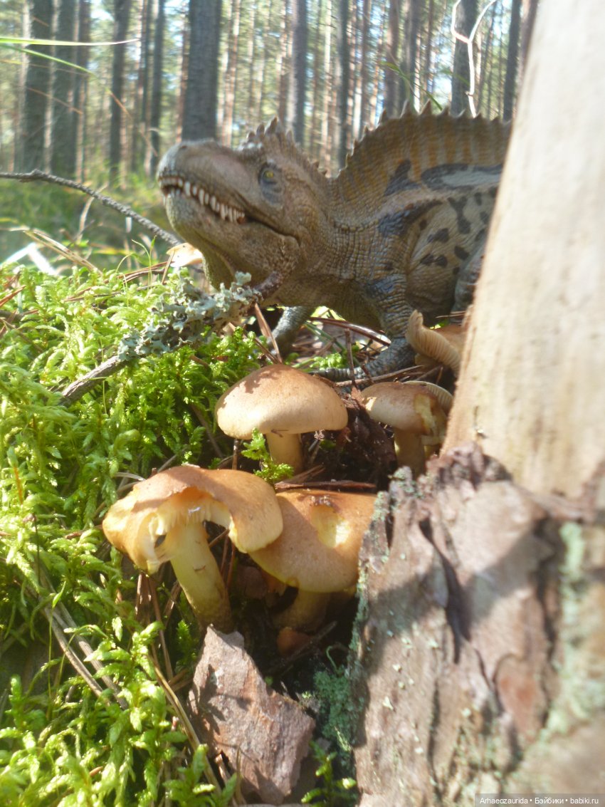 Ящеры в лесу: лес Саргиля | Бэйбики Ящеры в лесу: лес Саргиля