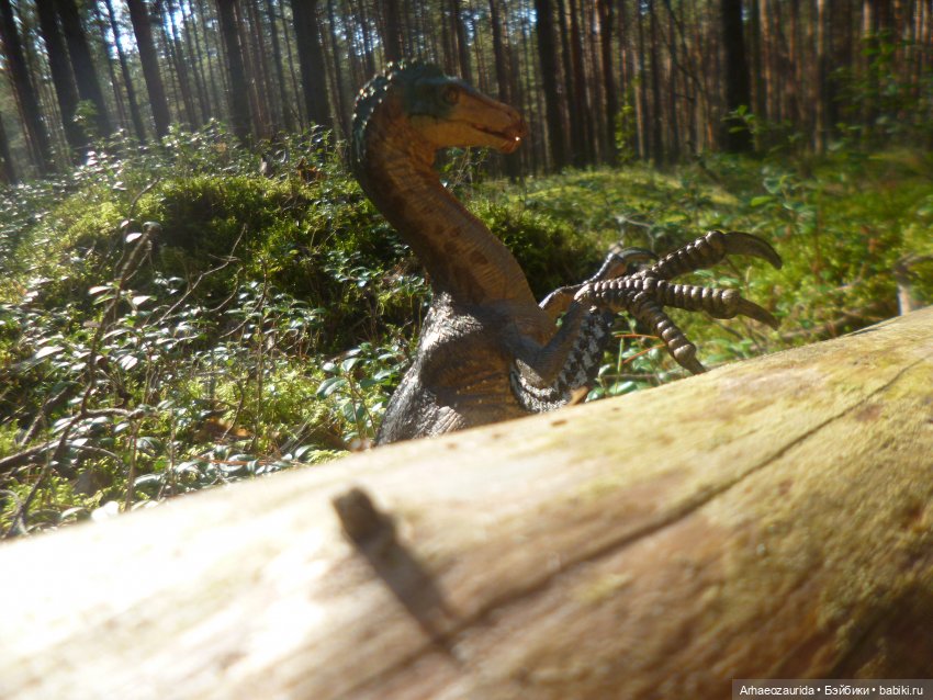 Ящеры в лесу: лес Саргиля | Бэйбики Ящеры в лесу: лес Саргиля
