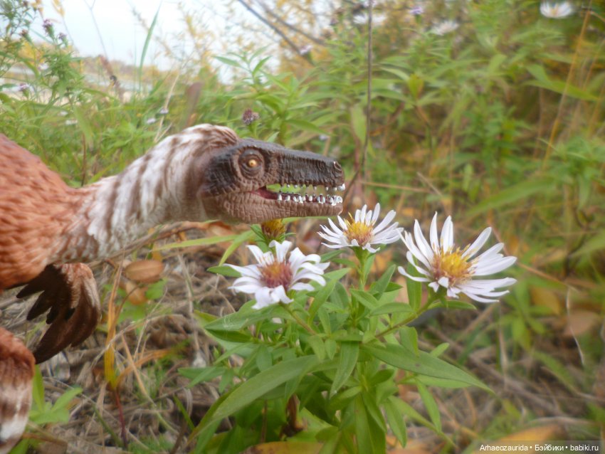 У реки: раптор-разведчик | Бэйбики У реки: раптор-разведчик — Интересные игрушки и фигурки (разное): редкие (фото 4)