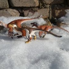 У реки: стая собирается