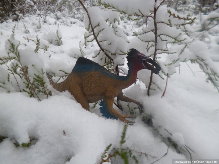 Ящеры в лесу: по первому снегу (фото 2)