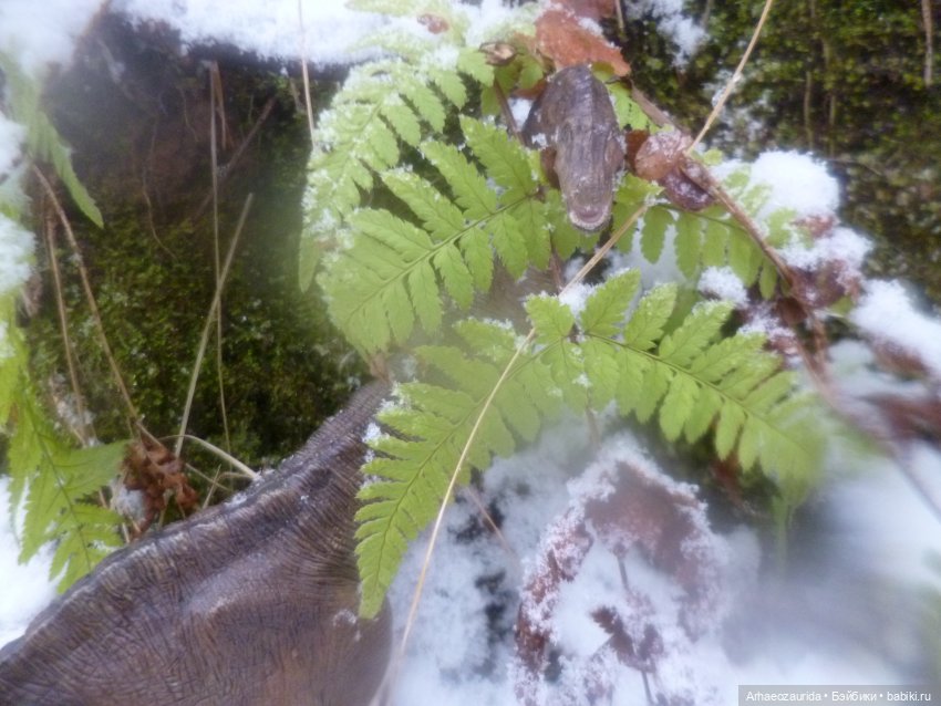 Ящеры в лесу: по первому снегу
