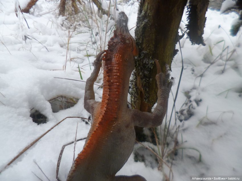 Ящеры в лесу: по первому снегу (фото 4)