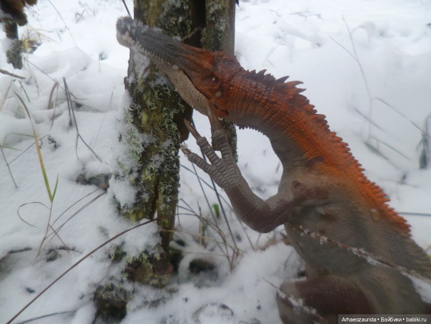 Ящеры в лесу: по первому снегу (фото 3)