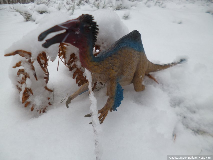 Ящеры в лесу: по первому снегу (фото 7)