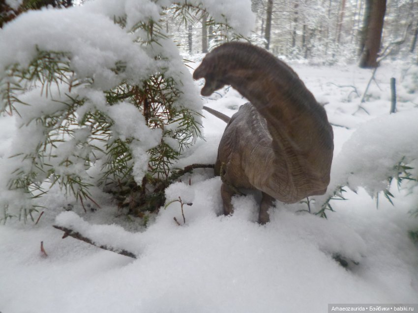 Ящеры в лесу: по первому снегу