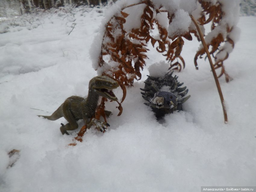 Ящеры в лесу: крик диморфодона (фото 8)