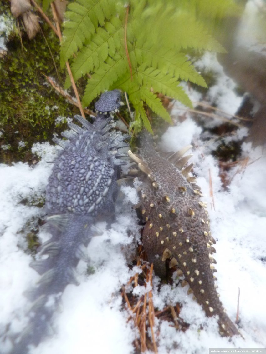 Ящеры в лесу: крик диморфодона