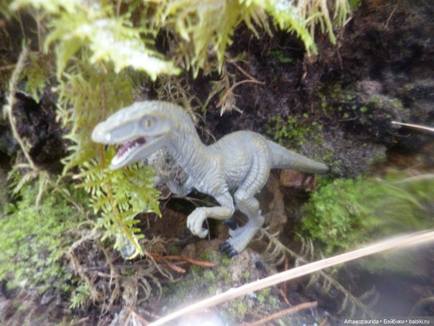 Ящеры в лесу: крик диморфодона (фото 10)