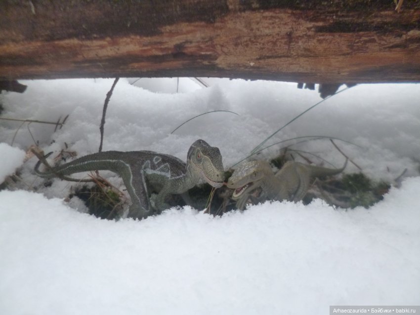 Ящеры в лесу: крик диморфодона (фото 3)