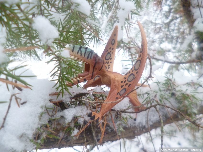 Ящеры в лесу: крик диморфодона (фото 4)