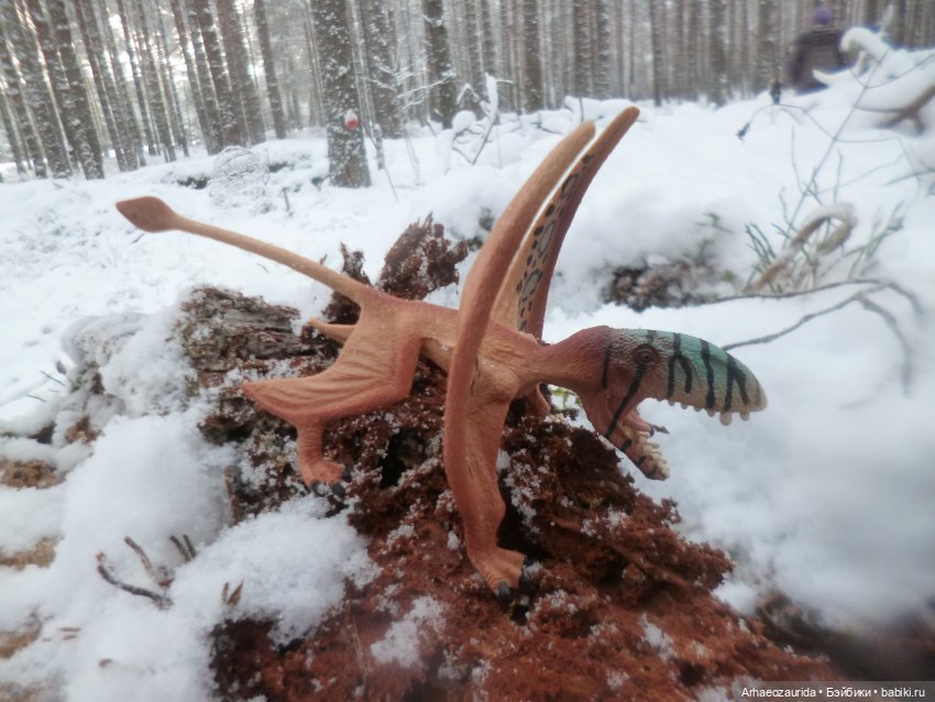 Ящеры в лесу: крик диморфодона