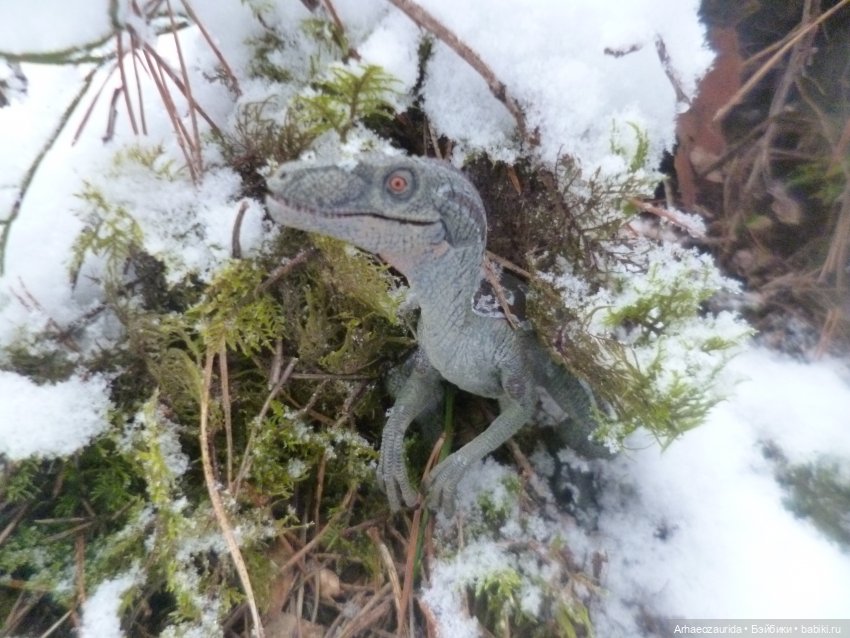 Ящеры в лесу: крик диморфодона (фото 6)