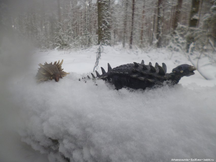 Ящеры в лесу: крик диморфодона (фото 2)