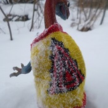 Ящеры у реки: поиски в снегу