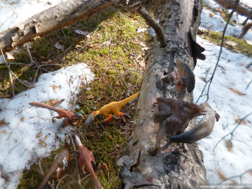 Ящеры в лесу: возвращение пернатых рапторов