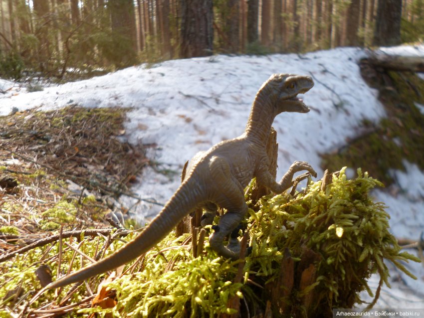 Ящеры в лесу: возвращение пернатых рапторов