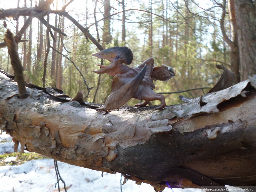 Ящеры в лесу: возвращение пернатых рапторов