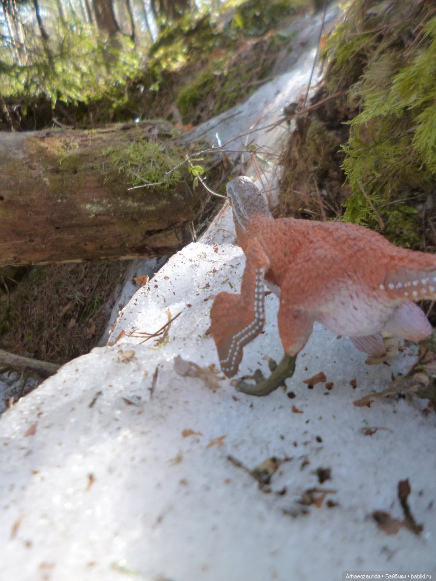 Ящеры в лесу: возвращение пернатых рапторов (фото 2)
