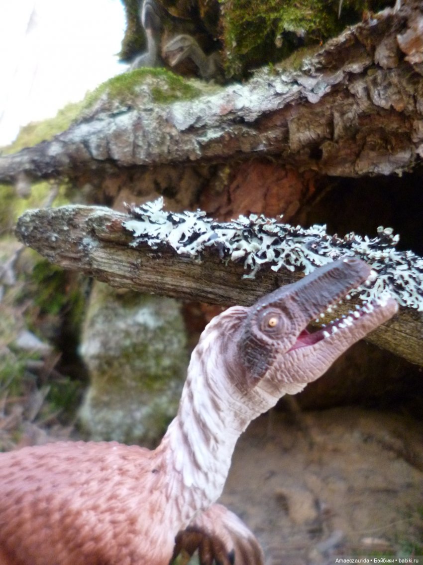 Ящеры в лесу: возвращение пернатых рапторов