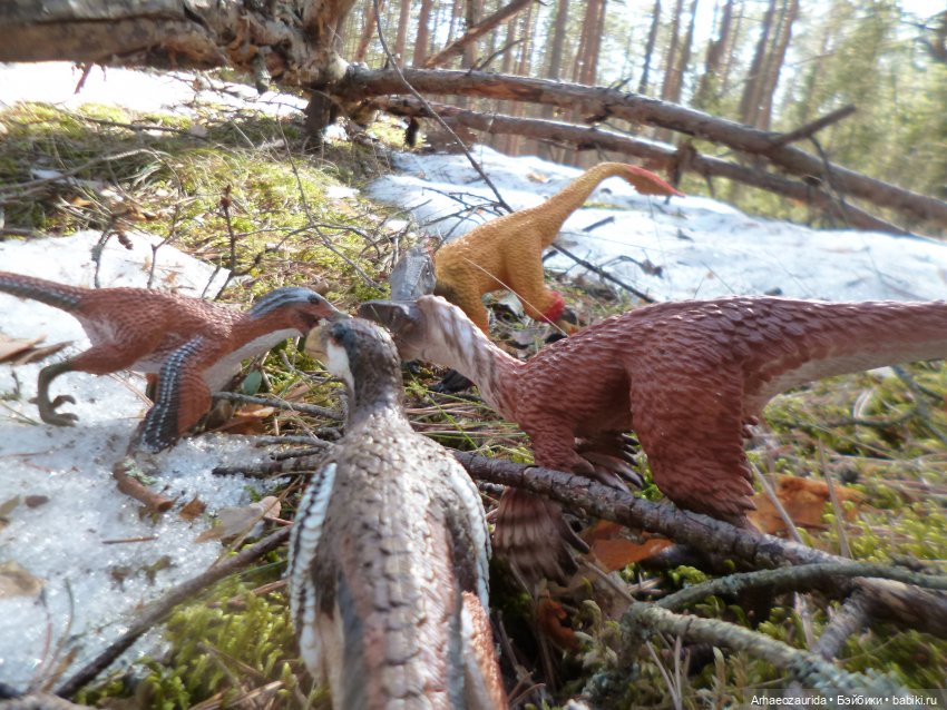 Ящеры в лесу: возвращение пернатых рапторов