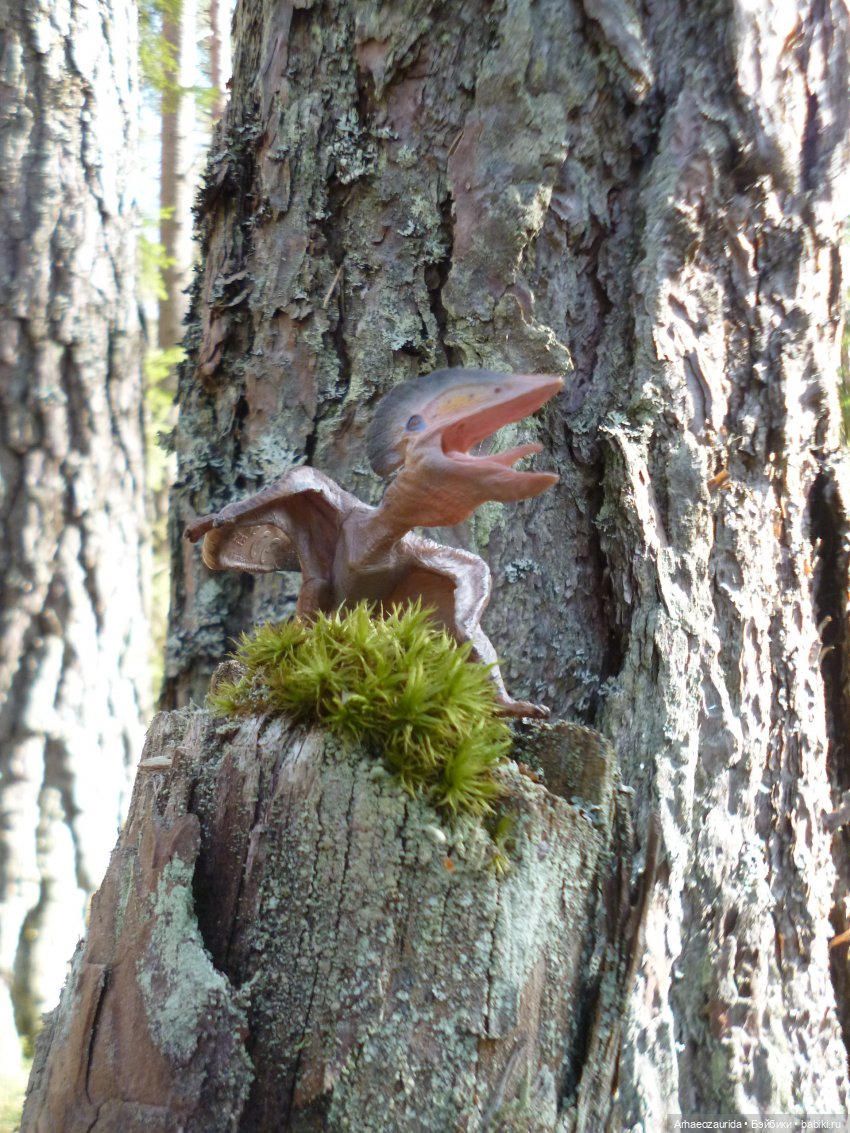 Ящеры в лесу: возвращение пернатых рапторов