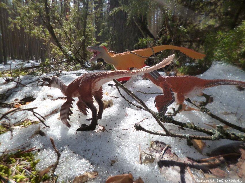 Ящеры в лесу: возвращение пернатых рапторов