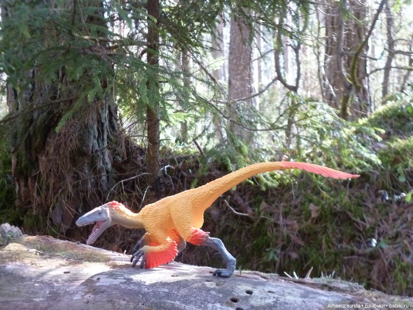 Ящеры в лесу: возвращение пернатых рапторов