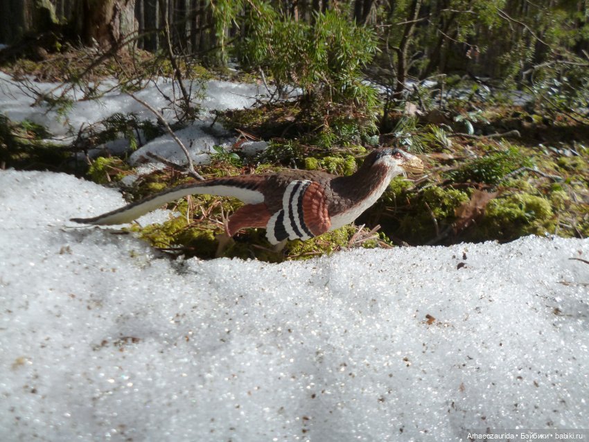 Ящеры в лесу: возвращение пернатых рапторов (фото 3)