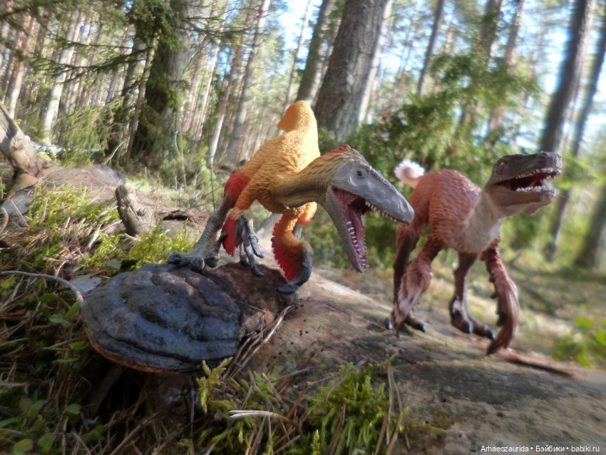 Ящеры в лесу: возвращение пернатых рапторов (фото 9)