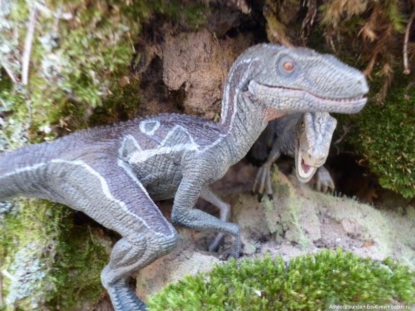 Ящеры в лесу: возвращение пернатых рапторов