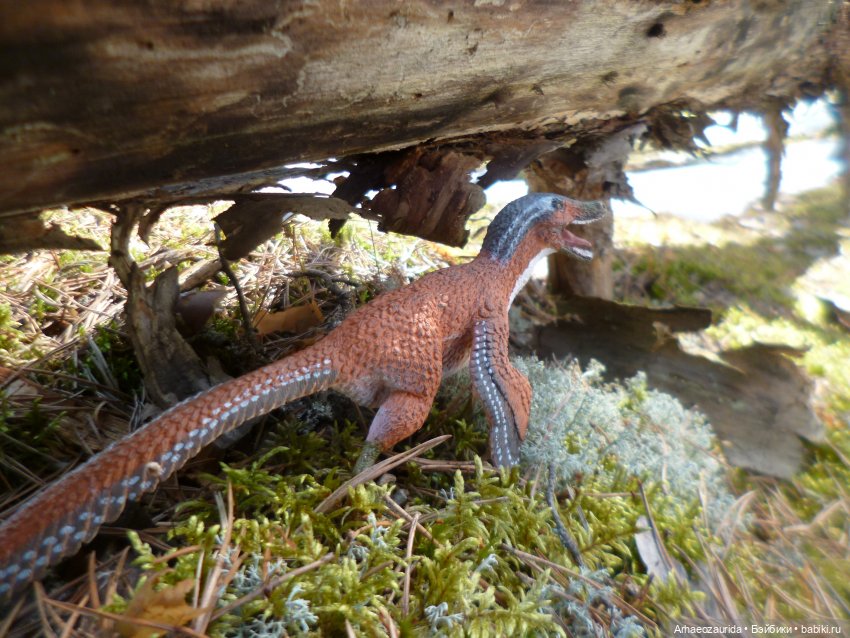 Ящеры в лесу: возвращение пернатых рапторов (фото 4)