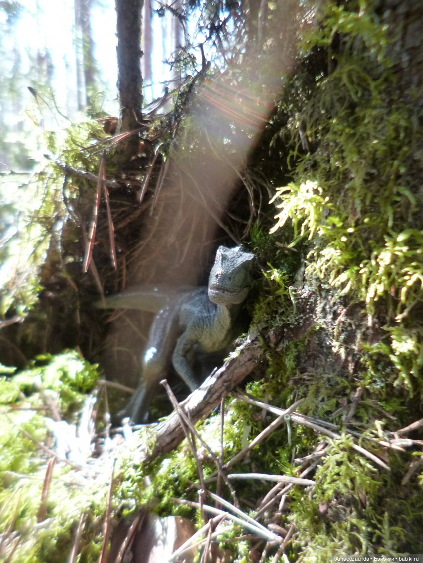 Ящеры в лесу: возвращение пернатых рапторов