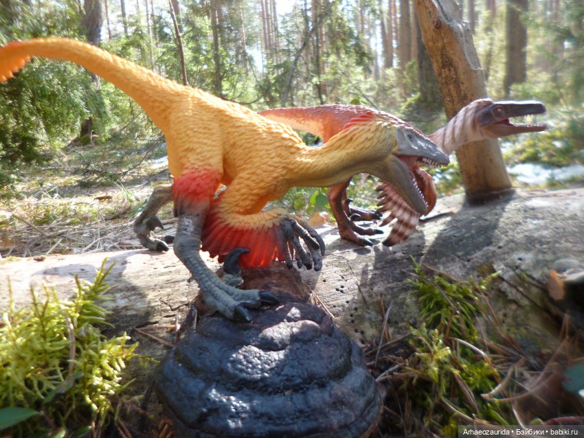 Ящеры в лесу: возвращение пернатых рапторов (фото 10)