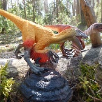 Ящеры в лесу: возвращение пернатых рапторов