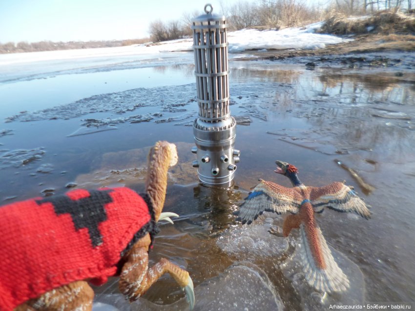 Ящеры у реки: что принесла вода (фото 7)