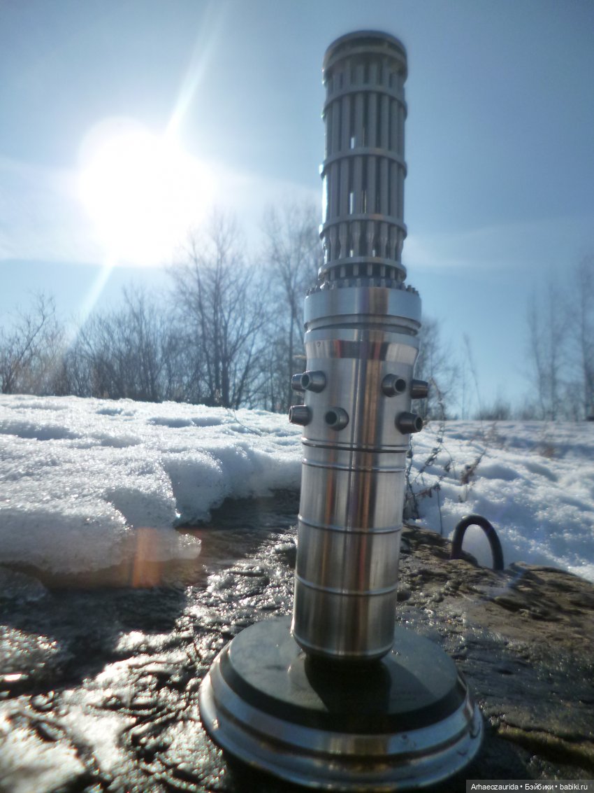 Ящеры у реки: что принесла вода