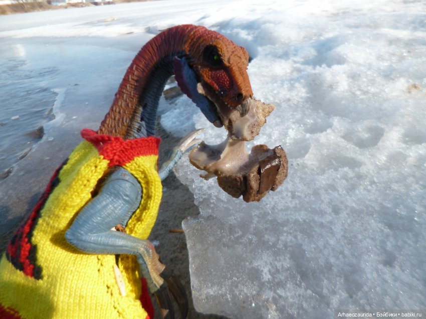 Ящеры у реки: что принесла вода (фото 9)