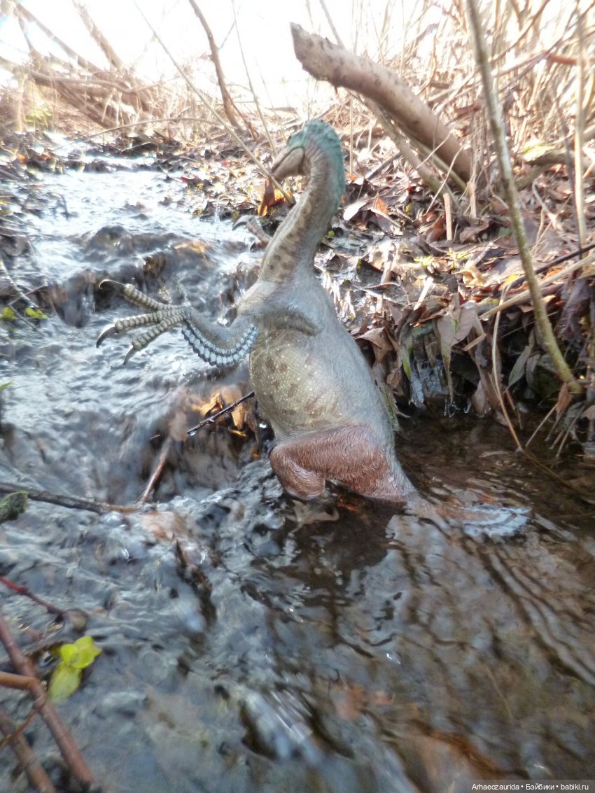 Ящеры у реки: что принесла вода (фото 8)