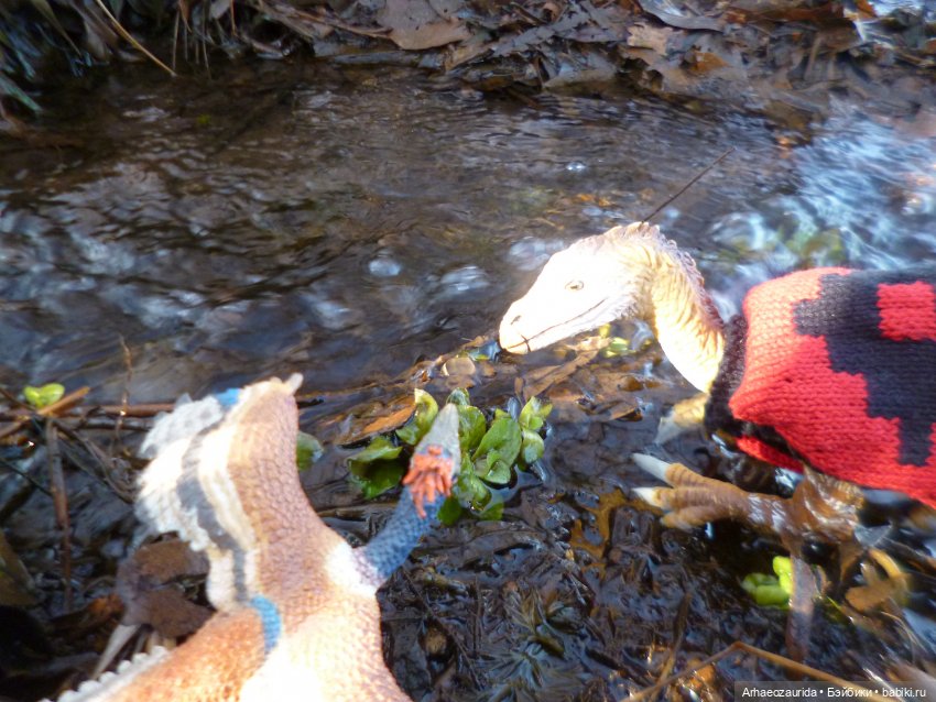 Ящеры у реки: что принесла вода (фото 2)