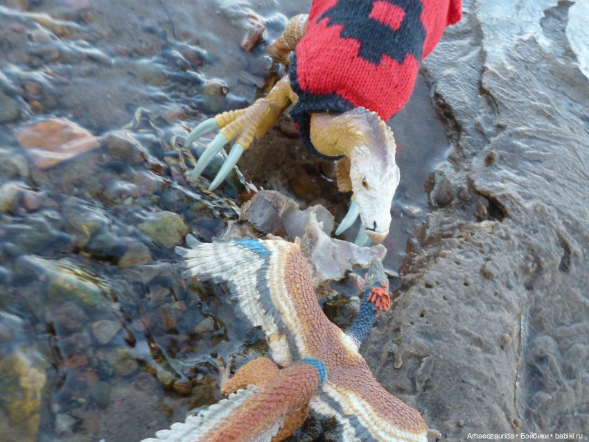 Ящеры у реки: что принесла вода (фото 4)