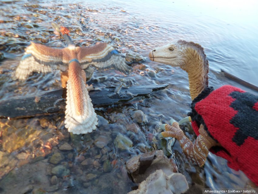 Ящеры у реки: что принесла вода (фото 5)