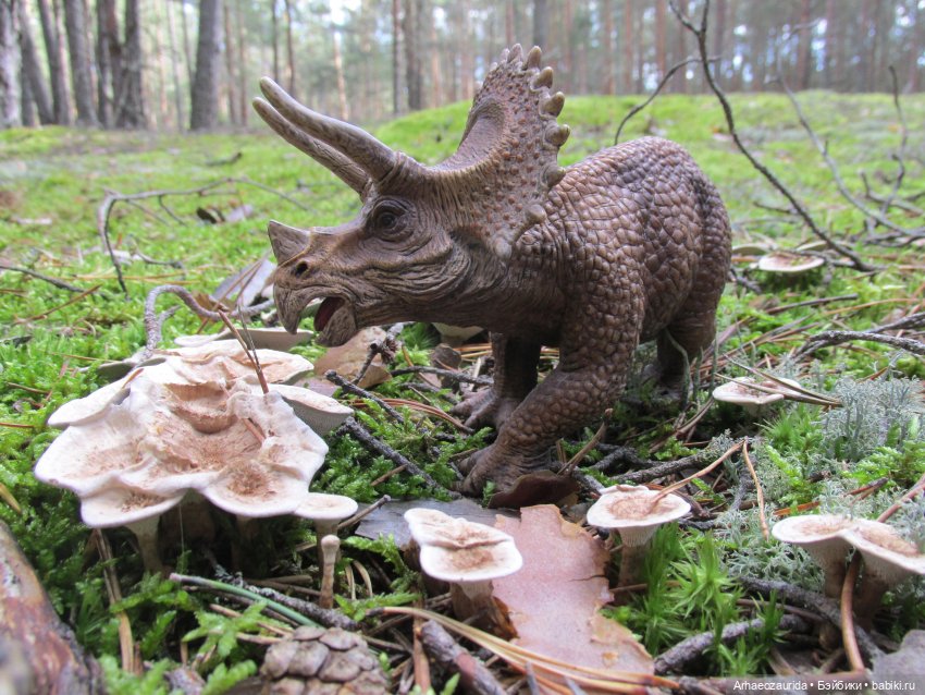 Уртаг: союз Ломаного Леса (2 часть серии "Уртаг") (фото 3)